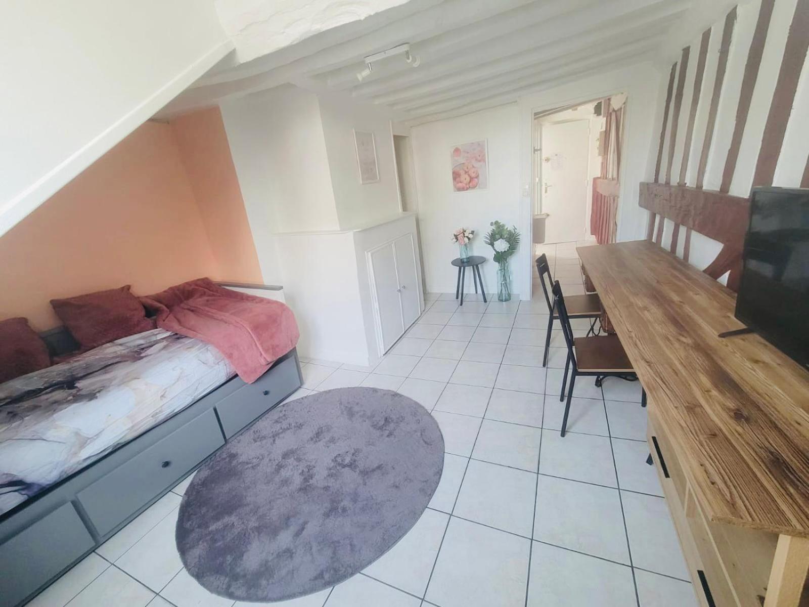 Appart Chu Rouen Lapeche Topskyhome Extérieur photo